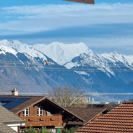 Mountain - Lake Apartement 1 Wilderswil Buitenkant foto